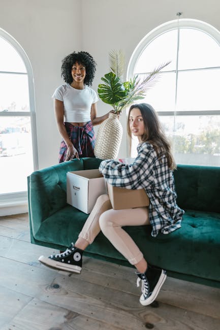 Inside a well-lit living room with large arched windows allowing natural light to illuminate the space, two women are preparing for a home relocation. One woman, standing beside a green velvet sofa, has dark, curly hair and is smiling while holding a large decorative plant with broad green leaves and a long slender stem, which is placed in a textured beige vase. The other woman, seated on the sofa, has long brown hair and is dressed in a plaid shirt and light-colored pants, holding a cardboard box in her lap with another empty box resting on the sofa beside her. The floor is made of light wooden planks, and there are no visible packing materials or furniture moving equipment in the scene. This image depicts a packing and moving process in progress within a residential interior, with a focus on preparing household items for transport, consistent with services offered by Man and Van Harringay as part of their removals and house moving services.